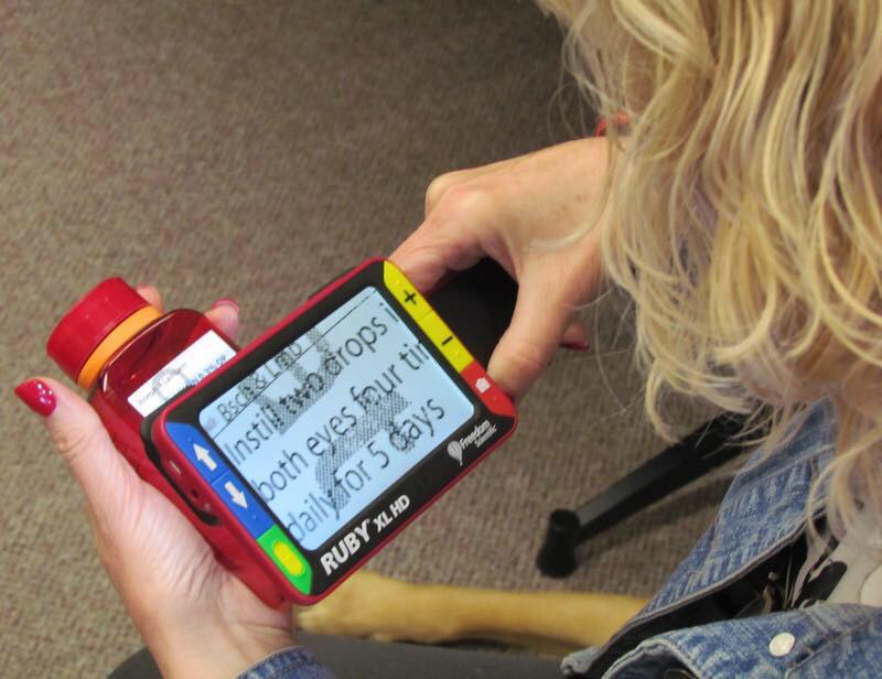 hand-held electronic magnifier