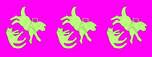 A green cat and guide dog over a bright purple/pink background