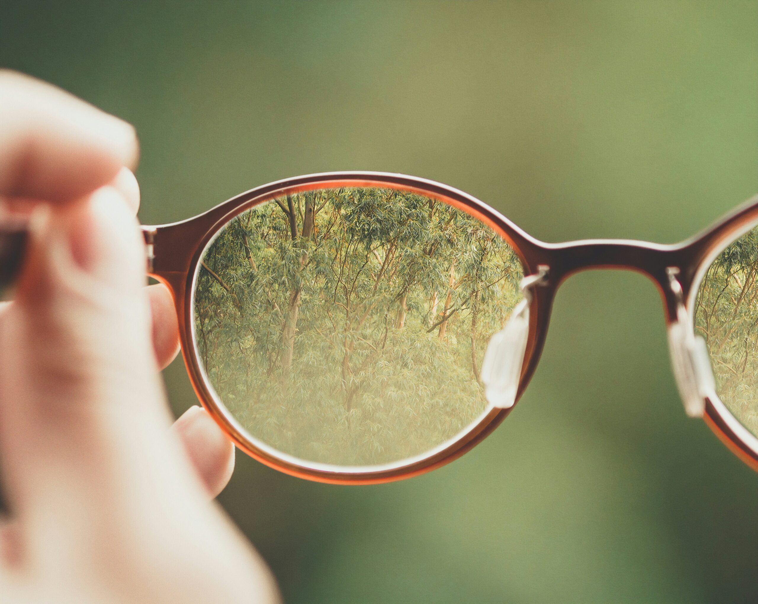 A hand holding brown-framed eyeglasses up to view a natural outdoor scene, with lush green trees and foliage visible in sharp focus through the lenses, while the background remains softly blurred