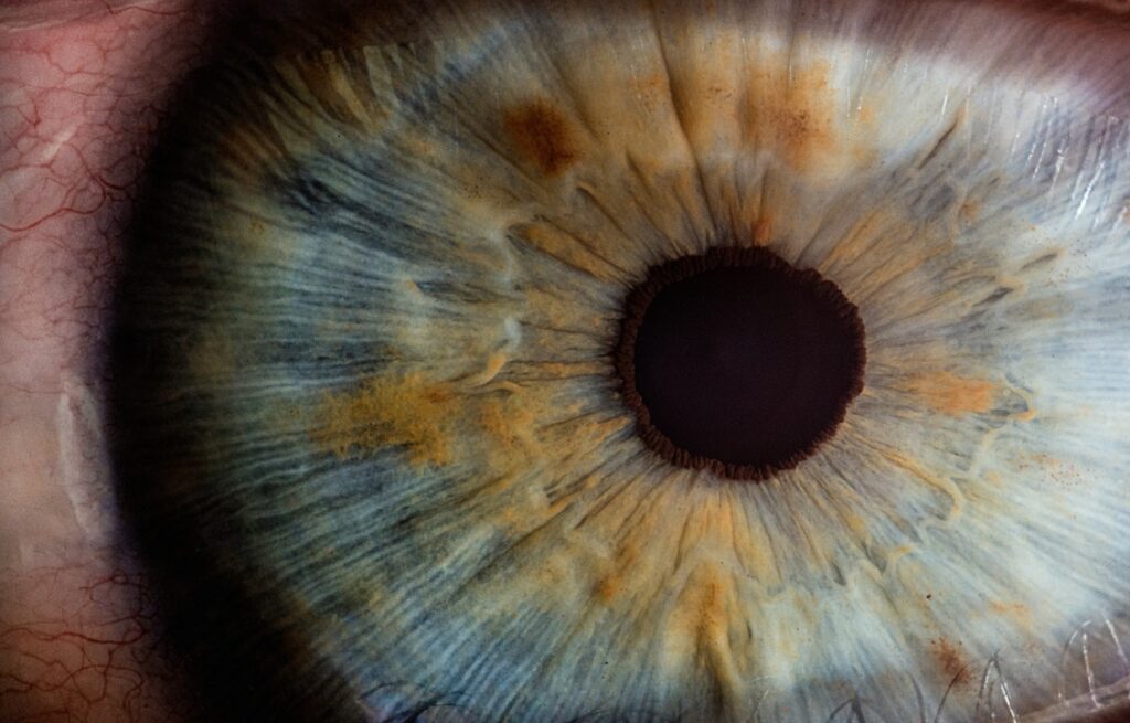 Extreme close-up of a human eye showing the iris with blue-gray and golden-brown coloration radiating outward from the dark central pupil, with visible detailed texture and patterns
