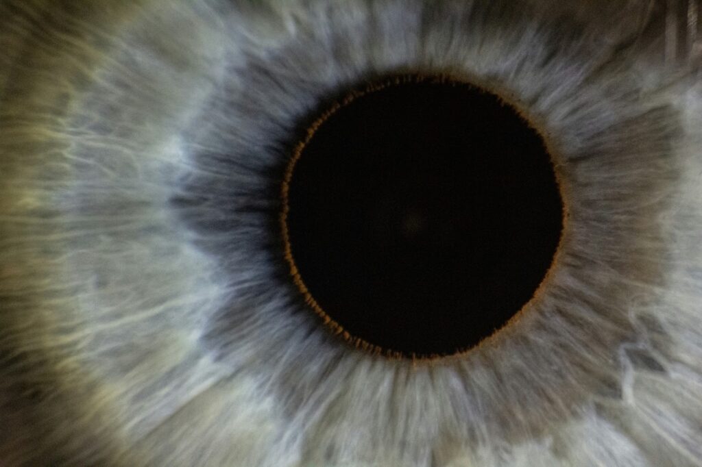 Extreme close-up of a human eye showing the iris with gray-blue coloration and radial striations extending from the dark central pupil, surrounded by a thin golden-brown ring